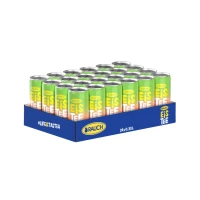 RAUCH - Eistee Erdbeer Kiwi Dose 0,33l (EWP)