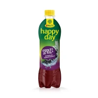 RAUCH - Happy Day Schwarze Johannisbeere Sprizz PET 0,5l...