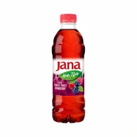 JANA Ice Tea Wald & Preiselbeere PET 0,5l (EWP)